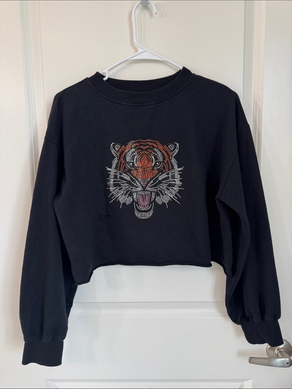 Beach riot Cropped Tiger Sweater